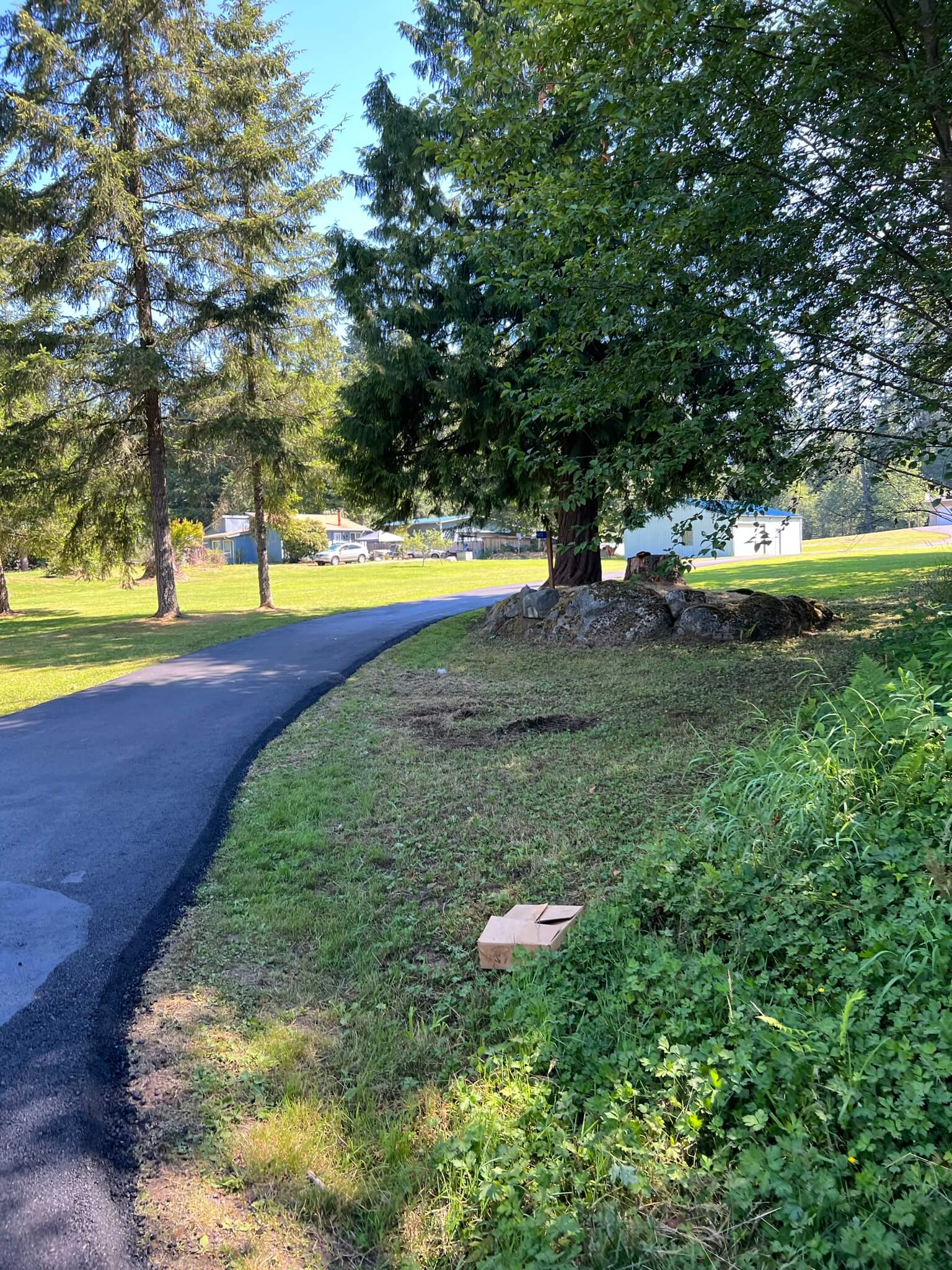 asphalt - Asphalt Paving